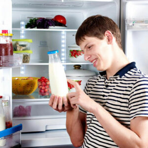 Refrigerators – Choosing from the popular brands